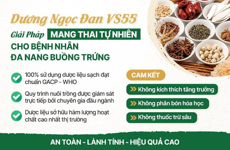 Bài thuốc sử dụng 100% dược liệu sạch, chuẩn GACP - WHO