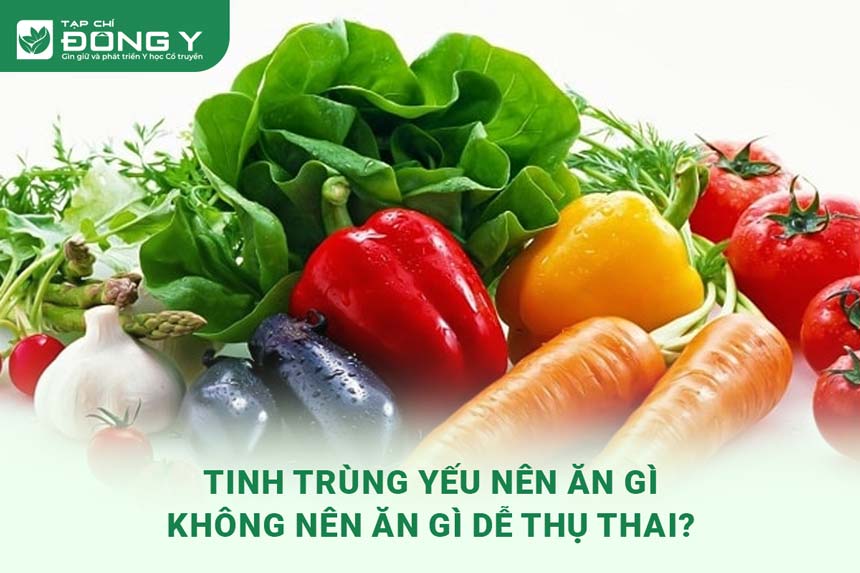 Yếu Tinh Trùng Không Nên Ăn Gì? Tránh Xa Ngay Những Thực Phẩm Này!