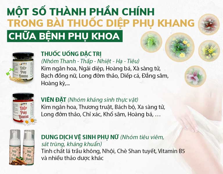 Thành phần chính trong bài thuốc Diệp Phụ Khang chữa bệnh phụ khoa