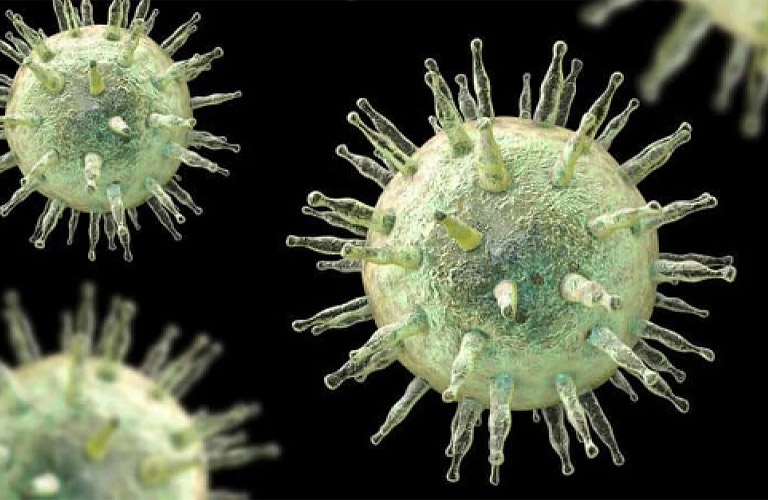 Virus Epstein-Barr có thể là tác nhân gây viêm amidan cấp