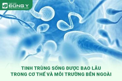 tinh-trung-song-duoc-bao-lau