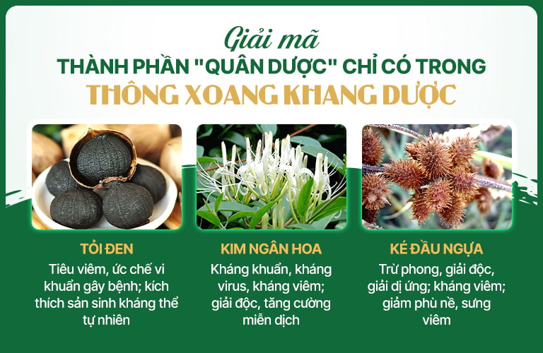 Nhóm các vị thuốc Quân dược trong bài thuốc Thông xoang Khang dược