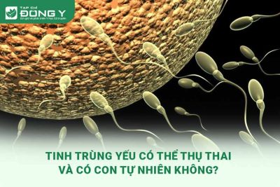 tinh-trung-yeu-co-the-thu-thai