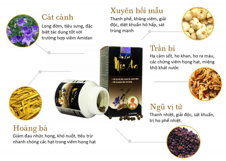 Thành phần thảo dược của An phế mộc an