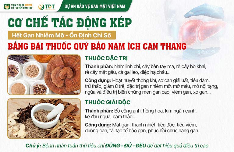 Phối hợp 2 bài thuốc Đặc Trị - Giải Độc, Bảo nam Ích can thang đạt hiệu quả điều trị gan nhiễm mỡ toàn diện