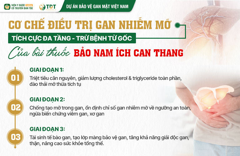 Bảo nam Ích can thang điều trị gan nhiễm mỡ ĐA TẦNG TÍCH CỰC - Hiệu quả đạt TOÀN DIỆN