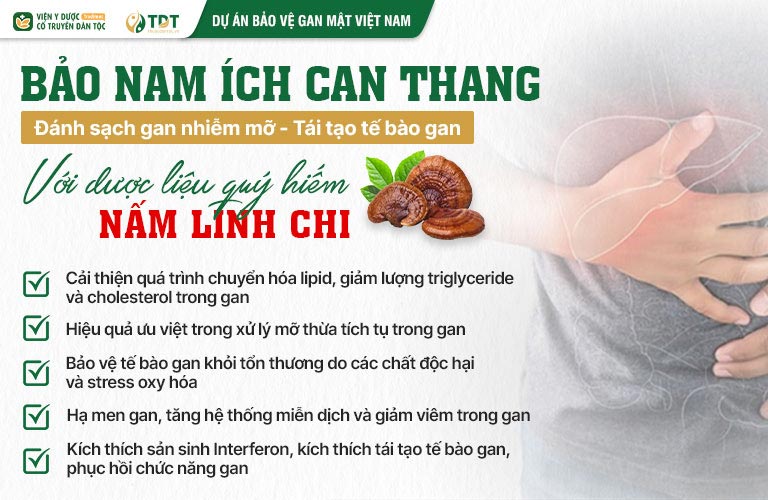 Nấm Linh Chi - Hiệu quả ưu việt trong điều trị gan nhiễm mỡ