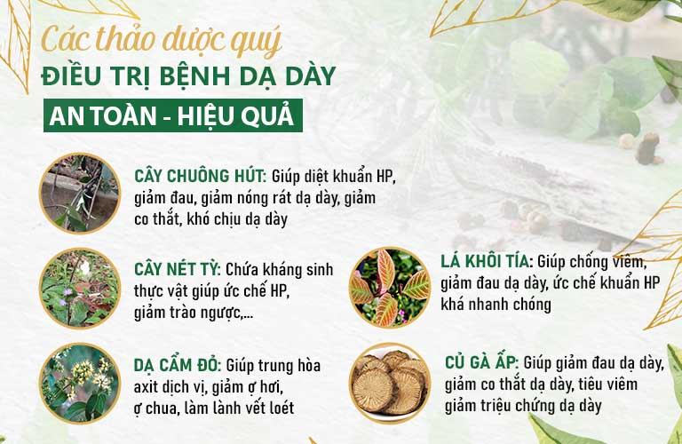 Thành phần biệt dược Sơ can Bình vị tán