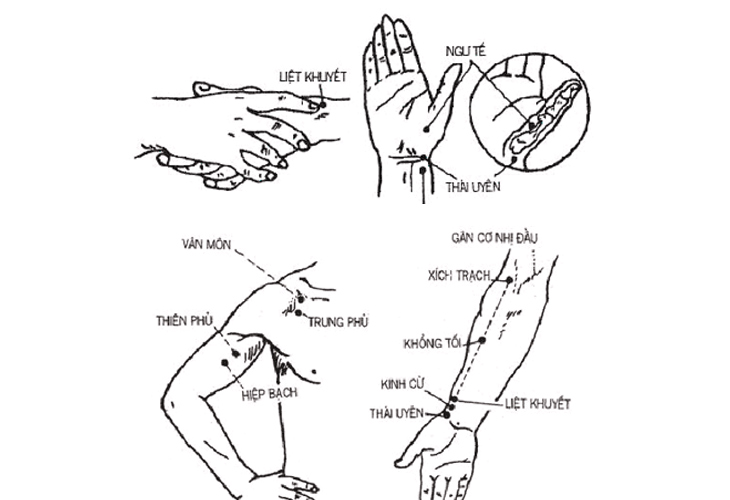 Liệt Khuyết kết huyệt Khúc Trì giúp tăng cường tác dụng thanh nhiệt, giải độc