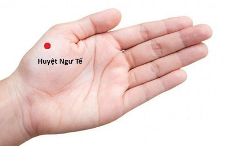 Huyệt đạo Ngư Tế có tác dụng thanh nhiệt, giải biểu, tuyên phế, lợi hầu họng