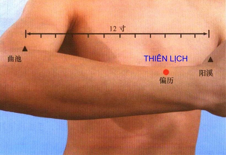 Huyệt Thiên Lịch còn được gọi là Thiên Phủ