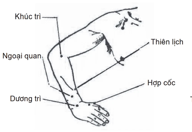 Bạn có thể tác động huyệt bằng nhiều cách khác nhau như châm cứu, bấm huyệt