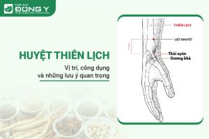 Huyệt Thiên Lịch