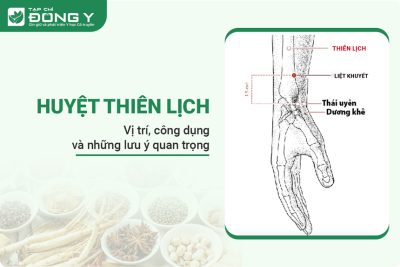 Huyệt Thiên Lịch