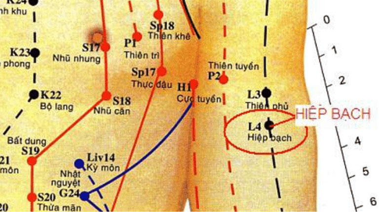 Vị trí của huyệt Hiệp Bạch