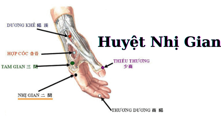 Huyệt Nhị Gian là một trong 361 huyệt đạo được công nhận trong hệ thống kinh lạc