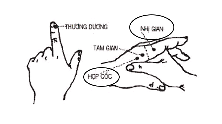 Huyệt Nhị Gian kết hợp với Hợp Cốc giúp tăng cường tác dụng giảm đau, kháng viêm