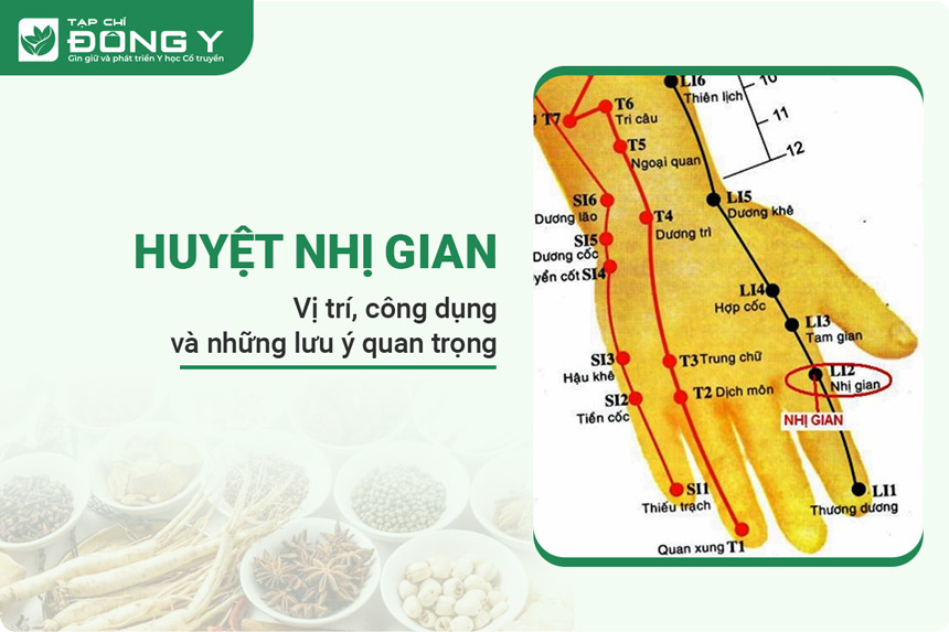 Huyệt Nhị Gian