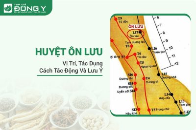 huyet-on-luu