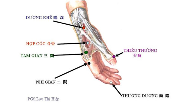 Vị trí của huyệt Thiếu Thương