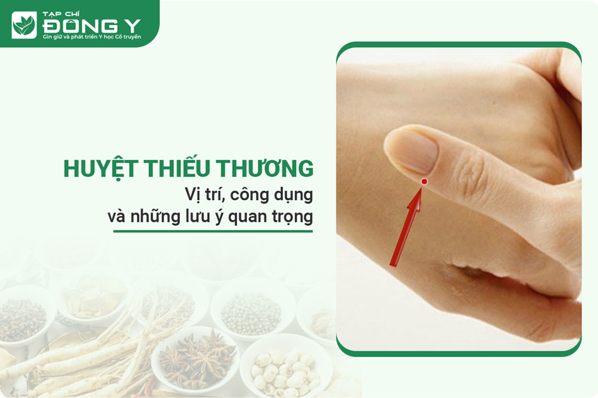 Huyệt Thiếu Thương