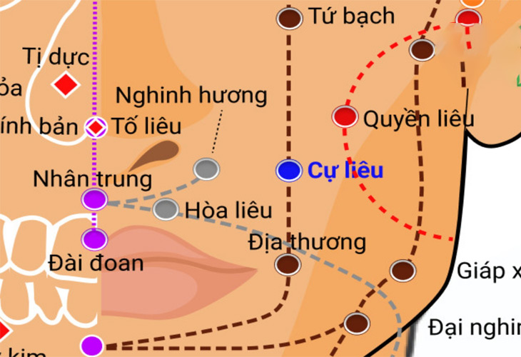 Trước khi tác động bạn cần xác định chính xác vị trí huyệt