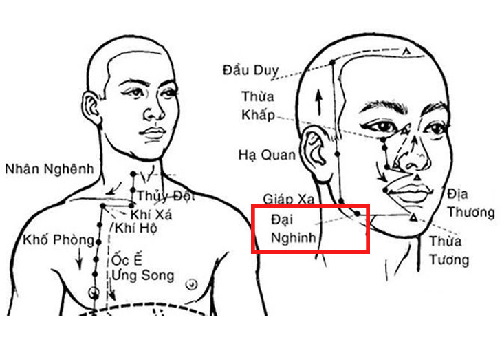 Xác định chính xác vị trí huyệt trước khi tác động