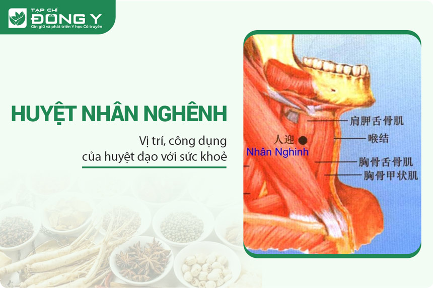 Huyệt Nhân Nghênh