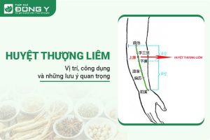 huyệt Thượng Liêm