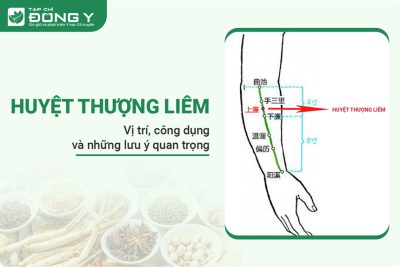 huyệt Thượng Liêm