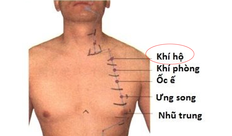 Vị trí huyệt Khí Hộ