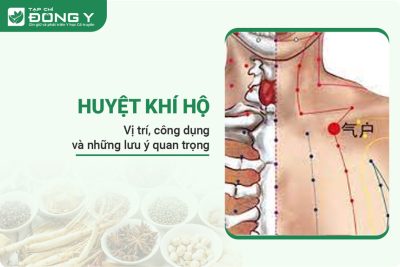 Huyệt Khí Hộ