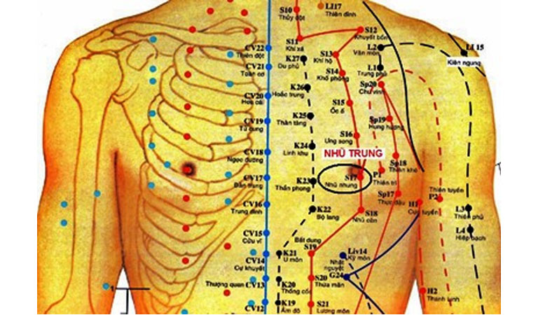 Vị trí huyệt Nhũ Trung