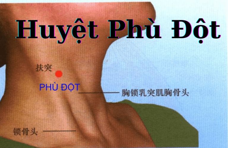 huyet-phu-dot (1)