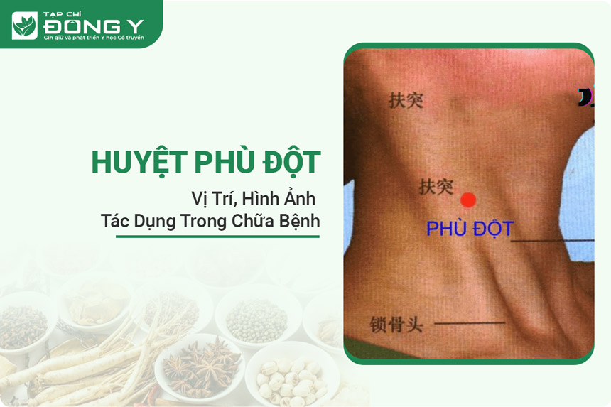 huyet-phu-dot