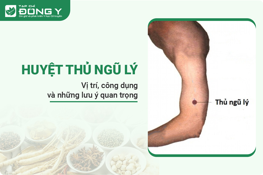 Huyệt Thủ Ngũ Lý