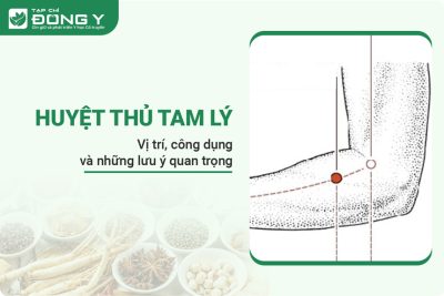 Huyệt Thủ Tam Lý