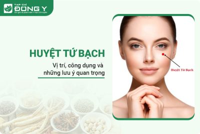 huyet-tu-bach