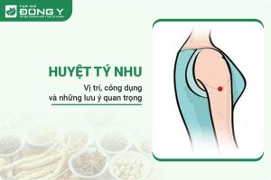 Huyệt Tý Nhu