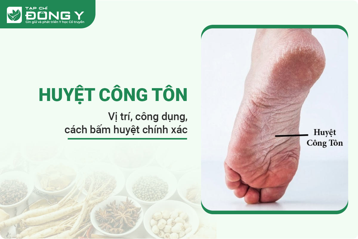 Huyệt Công Tôn