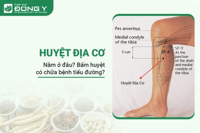 Huyệt địa cơ