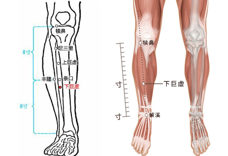 Xác định chính xác huyệt đạo trước khi châm cứu hay bấm huyệt