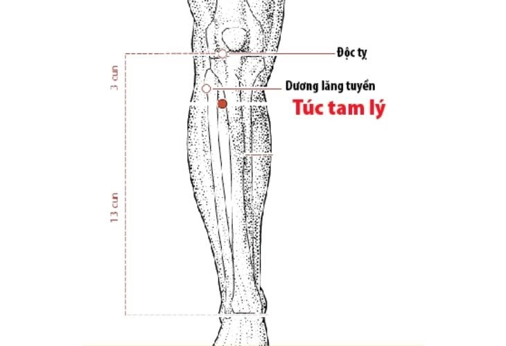 Bạn có thể phối huyệt Túc Tam Lý để điều trị bệnh liên quan đến tích nhiệt