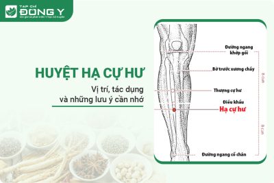 Huyệt Hạ Cự Hư