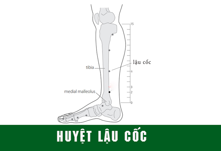 Bấm huyệt đúng cách mang đến nhiều lợi ích cho sức khỏe