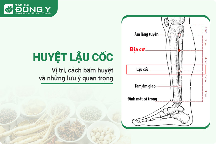 Huyệt Lậu Cốc