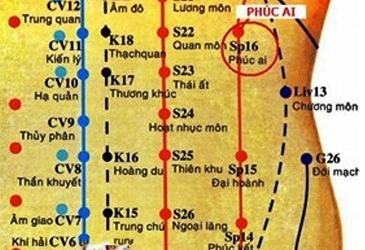 Huyệt Phúc Ai là huyệt thứ 16 của kinh Tỳ