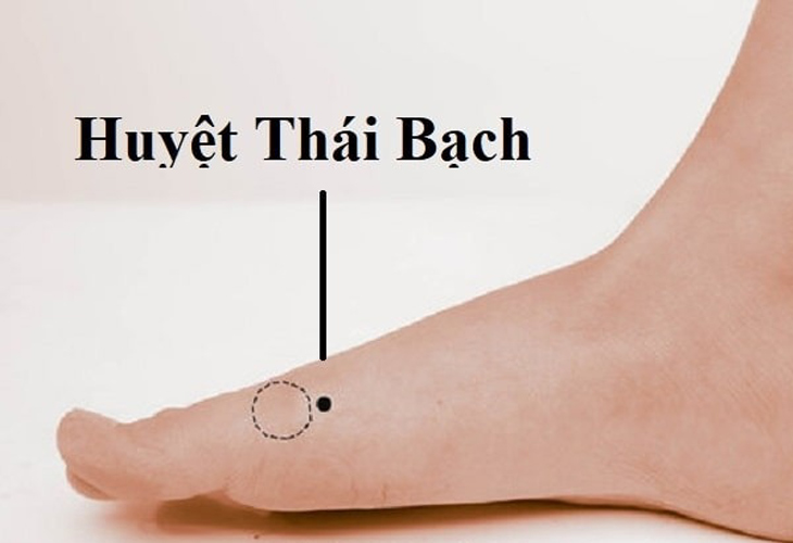 Huyệt Thái Bạch là huyệt thứ 3 của kinh Tỳ