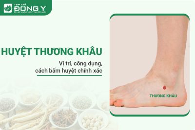 Huyệt Thương Khâu