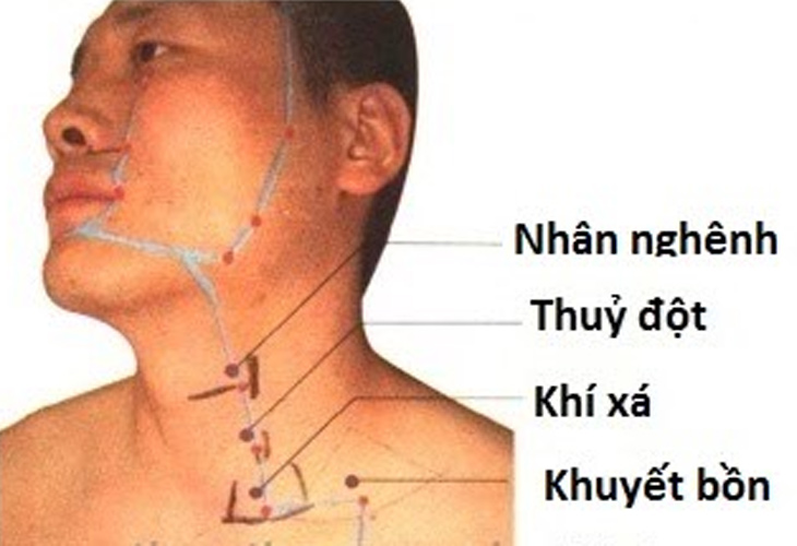 Huyệt Thủy Đột nằm ở vùng cổ trước, trên đường trung tuyến